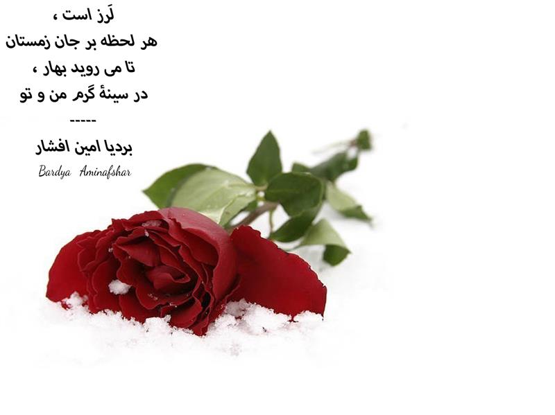 هنر شعر و داستان محفل شعر و داستان بردیا امین افشار #چامک #پریسکه #شعر_کوتاه #مینیمال #بردیا #امین_افشار #بردیا_امین_افشار