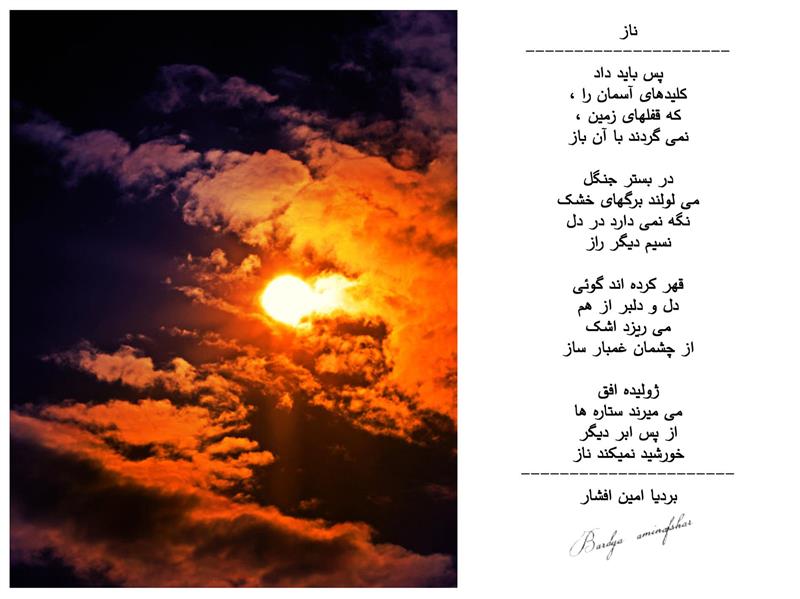هنر شعر و داستان محفل شعر و داستان بردیا امین افشار #ناز