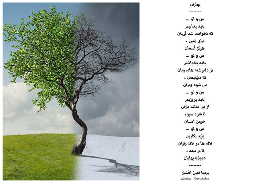 هنر شعر و داستان محفل شعر و داستان بردیا امین افشار #بهاران #شعر_سپید #بردیا #امین_افشار