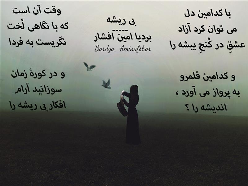 هنر شعر و داستان محفل شعر و داستان بردیا امین افشار #بی_ریشه #شعر_نو #بردیا #امین_افشار #ّبردیا_امین_افشار