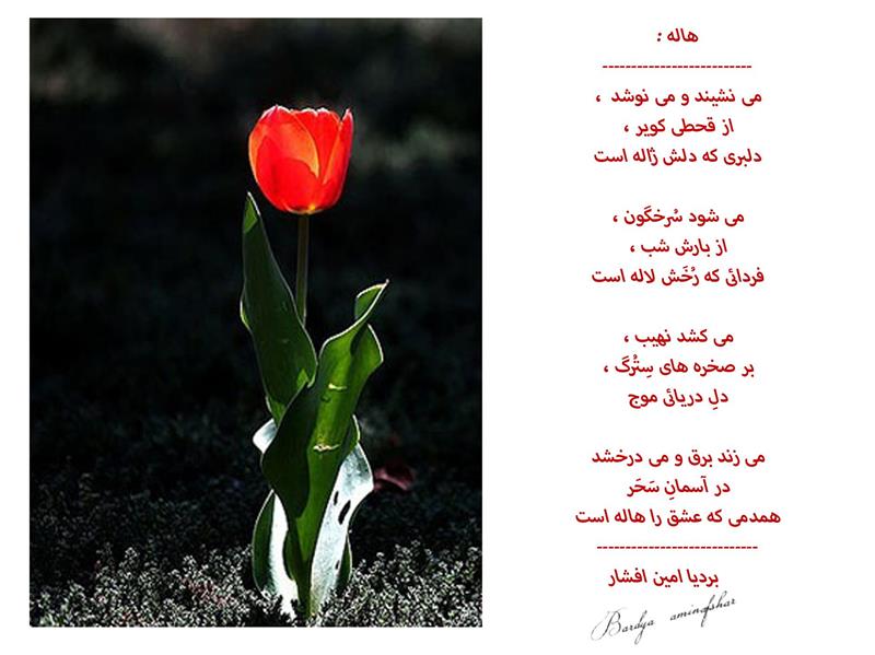 هنر شعر و داستان محفل شعر و داستان بردیا امین افشار هاله