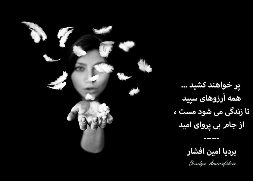 هنر شعر و داستان محفل شعر و داستان بردیا امین افشار #امید #شعر_کوتاه #چامک #بردیا #امین_افشار