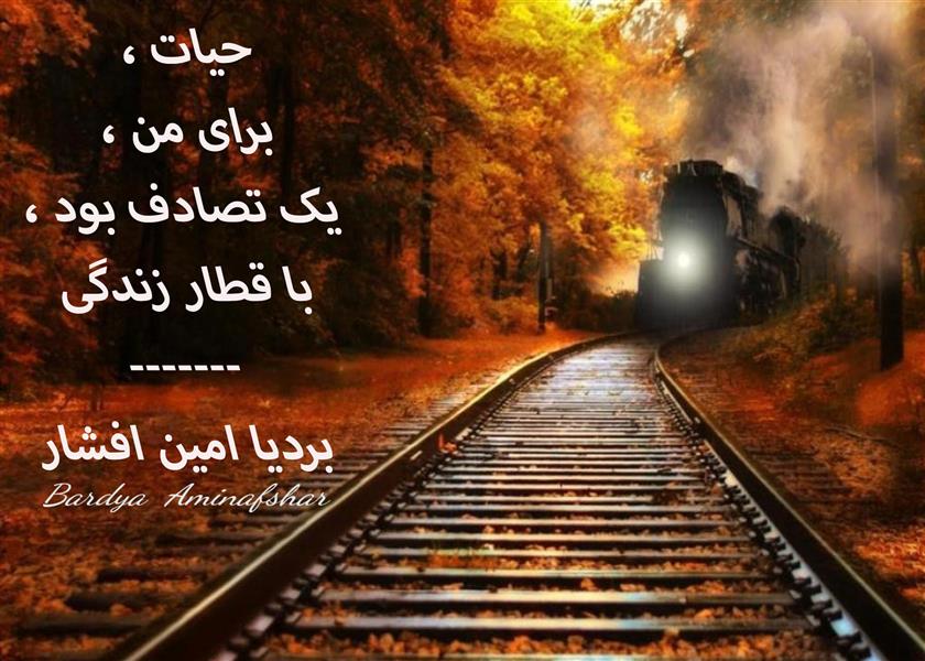 هنر شعر و داستان محفل شعر و داستان بردیا امین افشار #تصادف #شعر_کوتاه #چامک #بردیا #امین_افشار