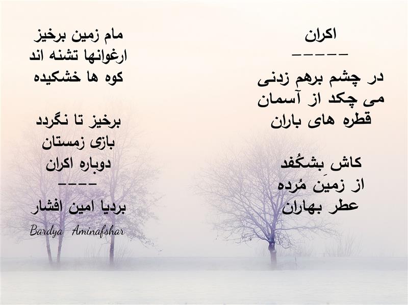 هنر شعر و داستان محفل شعر و داستان بردیا امین افشار #دوبیتی #دوبیتی_اکران #شعر_اکران #شعر_کوتاه #بردیا #امین_افشار #بردیا_امین_افشار