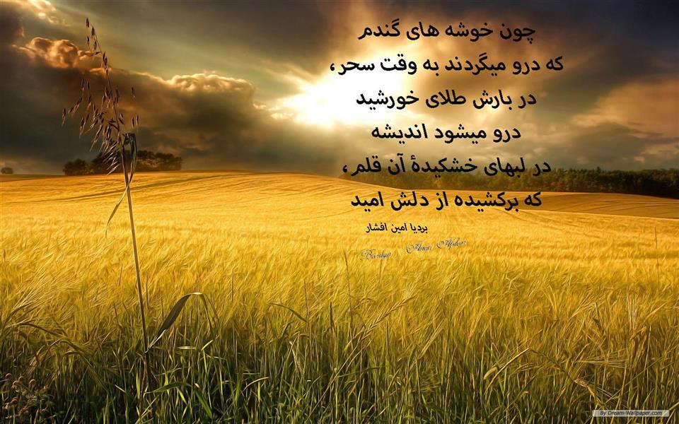 هنر شعر و داستان محفل شعر و داستان بردیا امین افشار درو