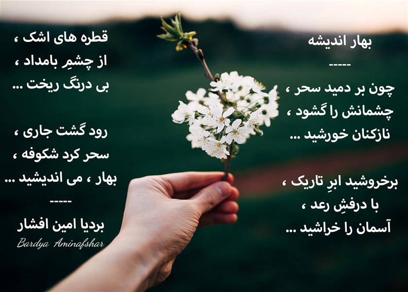 هنر شعر و داستان محفل شعر و داستان بردیا امین افشار #بهار_اندیشه #چهار_پاره #شعر #بردیا #امین_افشار #بردیا_امین_افشار
