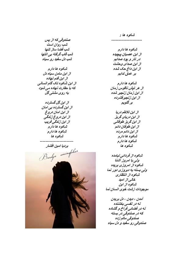 هنر شعر و داستان محفل شعر و داستان بردیا امین افشار 