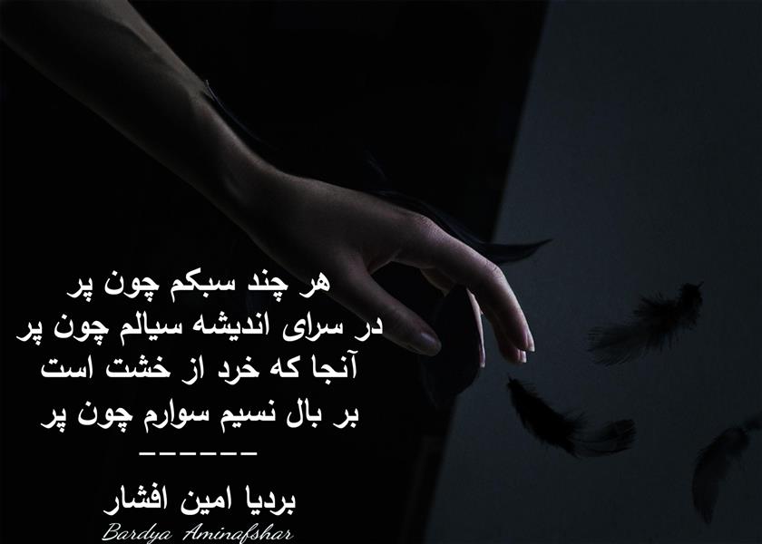 هنر شعر و داستان محفل شعر و داستان بردیا امین افشار #چون_پر #دوبیتی #شعر #شعر_چون_پر #بردیا #امین_افشار #بردیا_امین_افشار