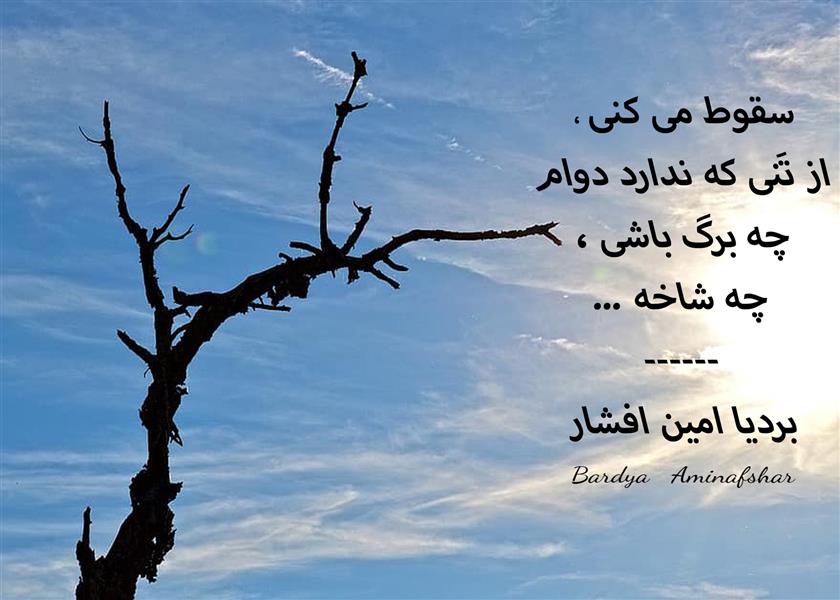 هنر شعر و داستان محفل شعر و داستان بردیا امین افشار #سقوط #چامک #شعر_کوتاه #بردیا #امین_افشار