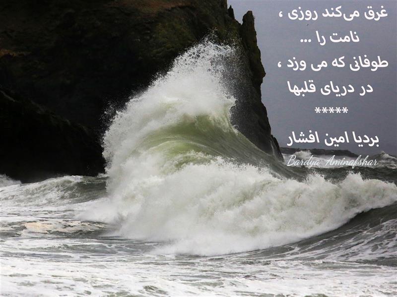 هنر شعر و داستان محفل شعر و داستان بردیا امین افشار #نام #چامک #شعر_کوتاه #تک_بیت #بردیا #امین_افشار #بردیا_امین_افشار