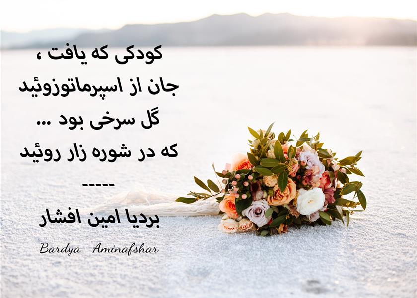 هنر شعر و داستان محفل شعر و داستان بردیا امین افشار #اسپرماتوزوئید #چالش #دوبیتی #شعر_مفهومی #نگاه #شعر_کوتاه #بردیا #امین_افشار #بردیا_امین_افشار #چامک