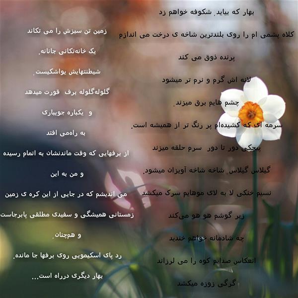 هنر شعر و داستان محفل شعر و داستان ghazal-heidari #بهار دیگری در راه است
#غزال_حیدری
