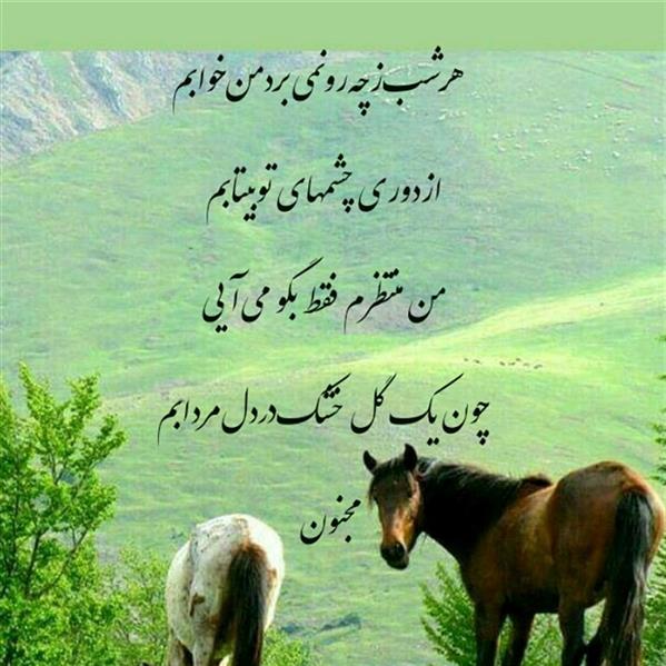 هنر شعر و داستان محفل شعر و داستان مجنون ملایری 