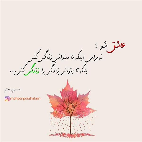 هنر شعر و داستان محفل شعر و داستان محسن پورحاتم متن کوتاه ادبی