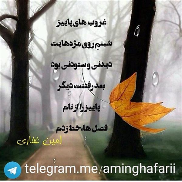 هنر شعر و داستان محفل شعر و داستان امین غفاری 