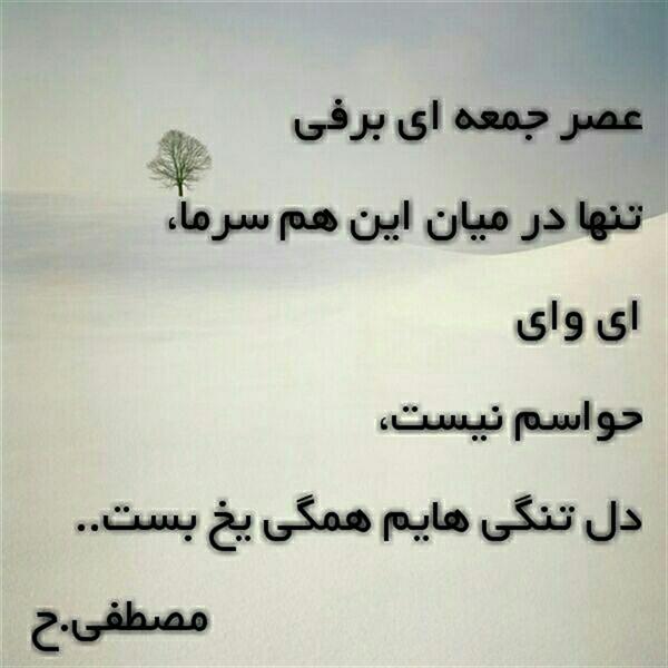 هنر شعر و داستان محفل شعر و داستان مصطفی حمزه ضمیر ۰