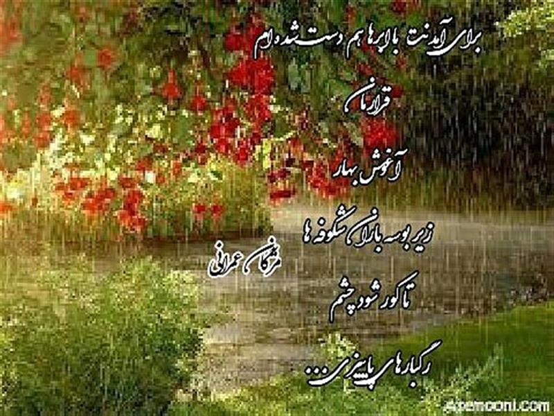 هنر شعر و داستان محفل شعر و داستان مژگان عمرانی 🍁🍁🍁