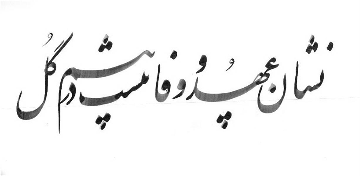 هنر خوشنویسی محفل خوشنویسی Nader Afshar 