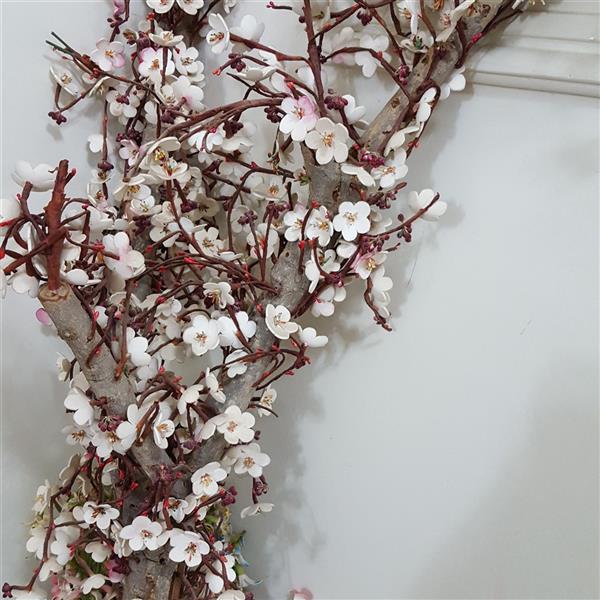 هنر سایر محفل سایر هنر ها زینب اصلی درخت شکوفه سیب ساخته شده از سیم وچوب و فوم