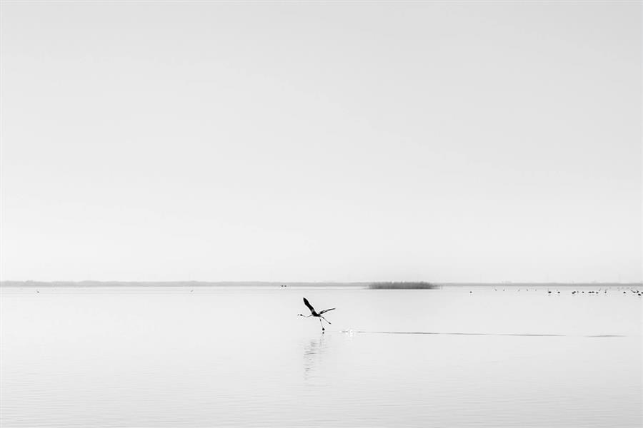  عکس های مینیمال طبیعت