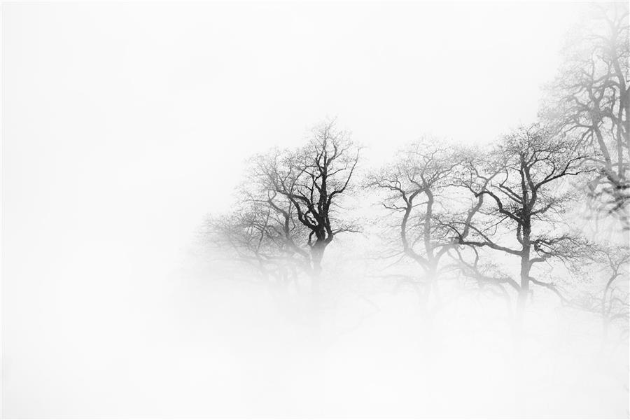  عکس مینیمال