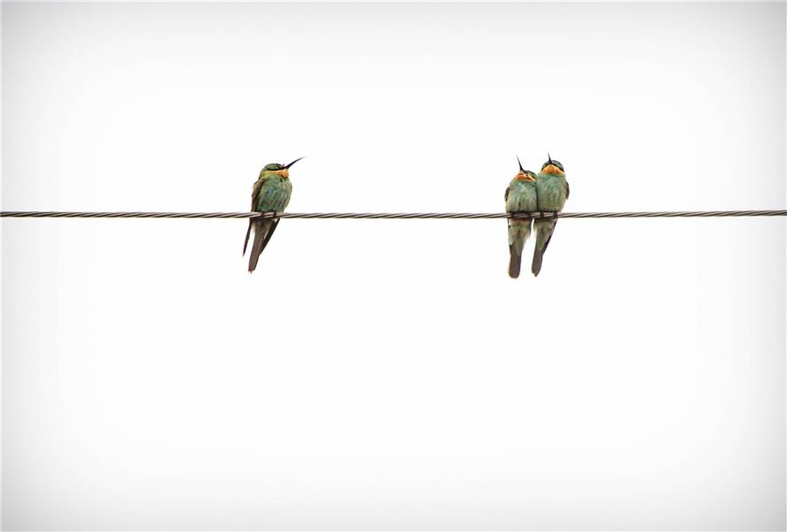  عکس مینیمال