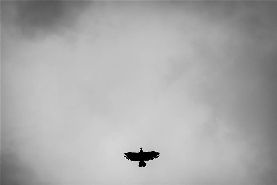 عکس مینیمال دختر