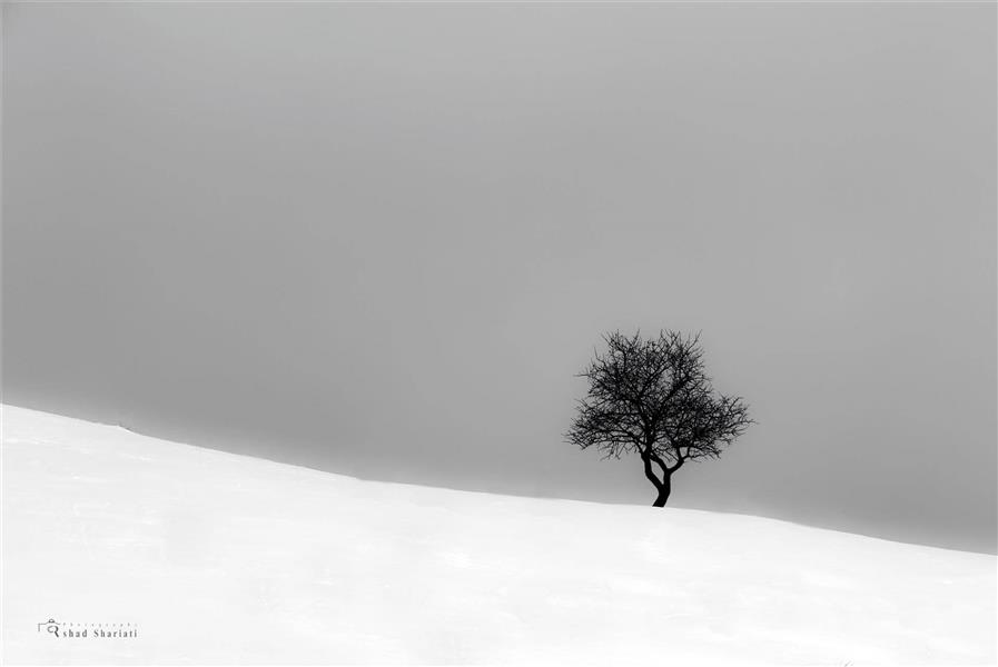  عکس مینیمال