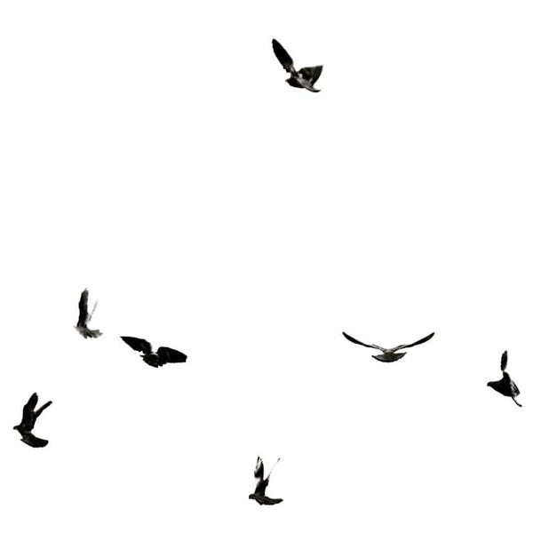 عکس مینیمال دختر