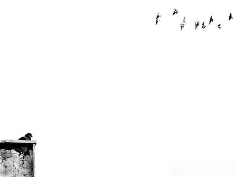 عکس مینیمال دختر