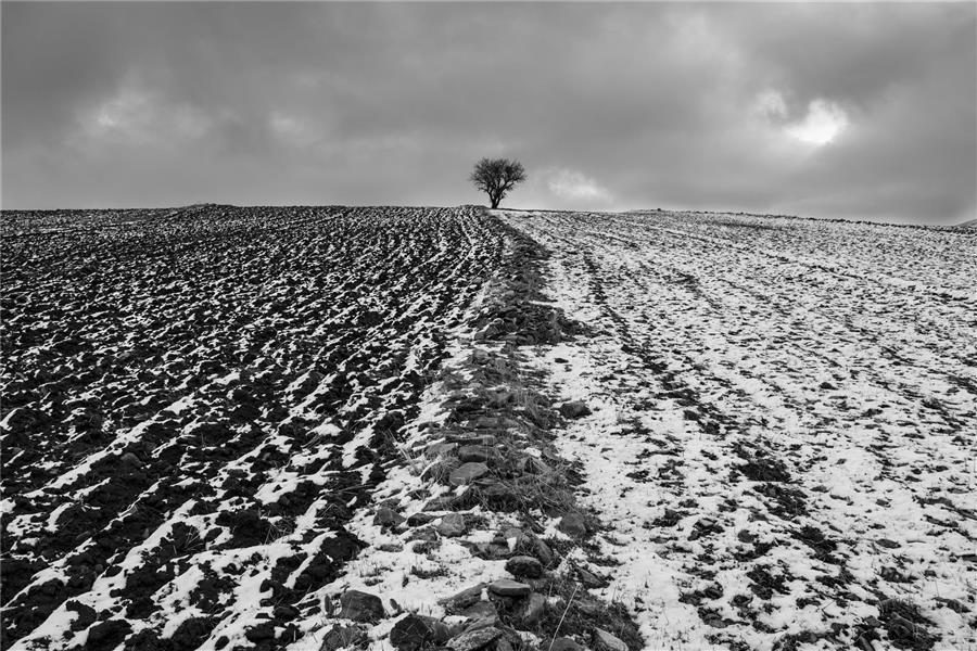 عکس مینیمال