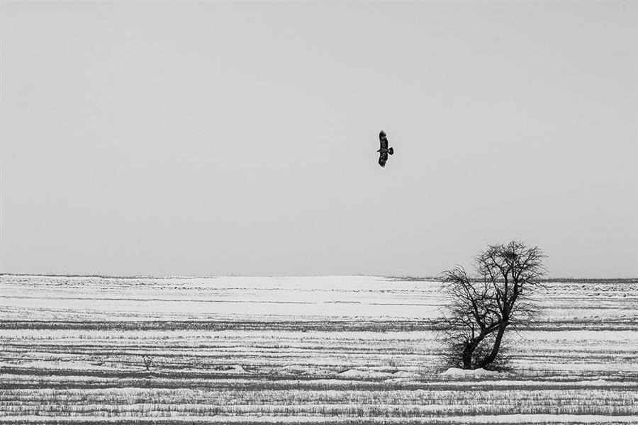  عکس مینیمال