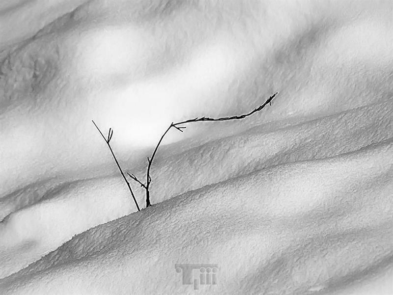  عکس مینیمال