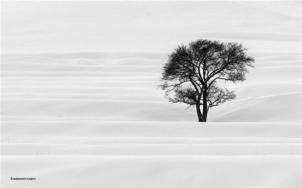 عکس مینیمال دختر