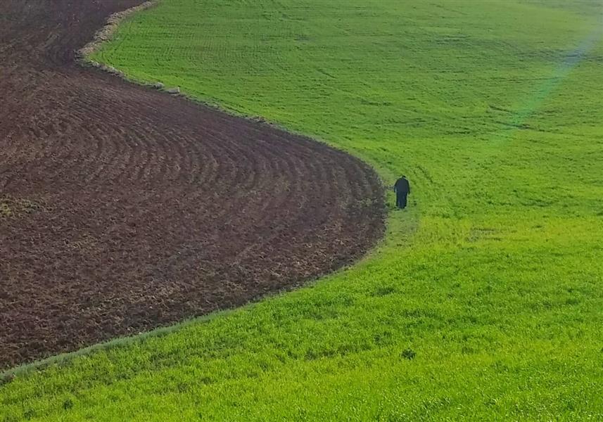  عکس های مینیمال طبیعت