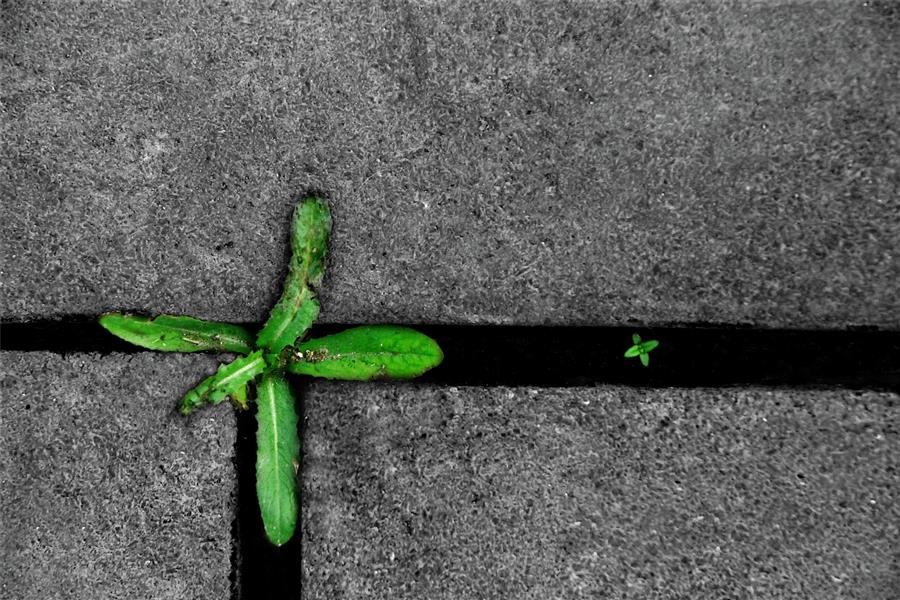  عکس مینیمال