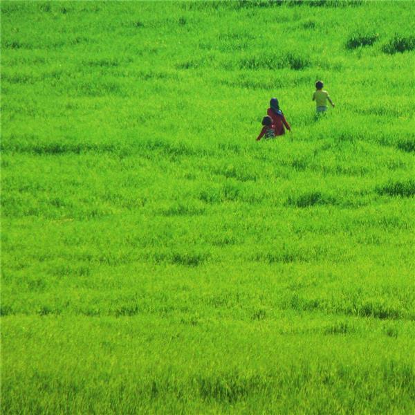 عکس مینیمال دختر