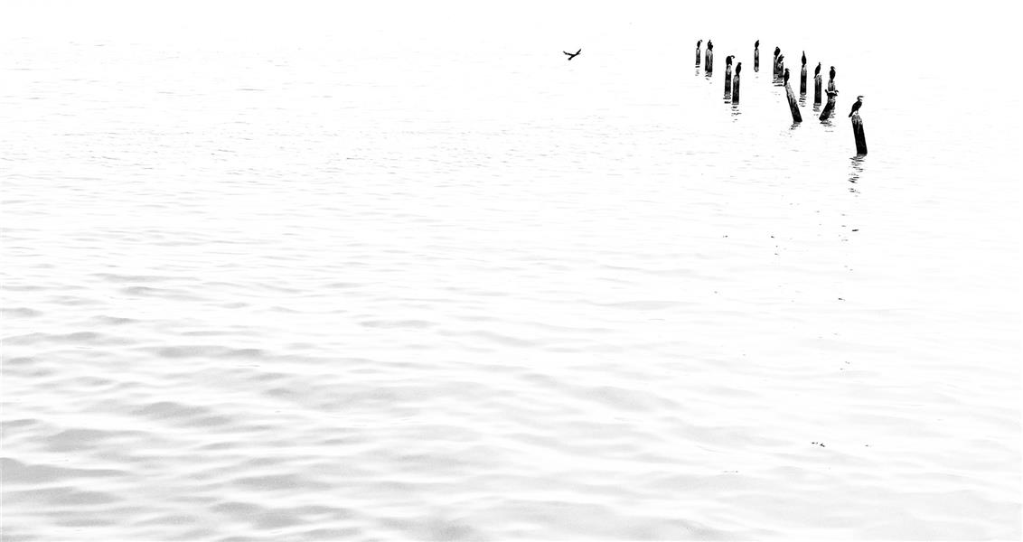 عکس مینیمال دختر