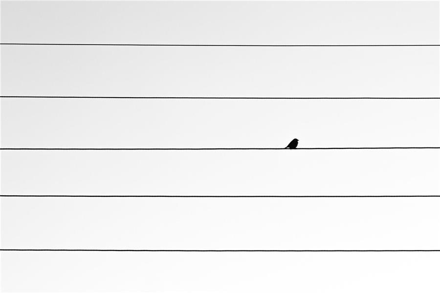  عکس های مینیمال طبیعت