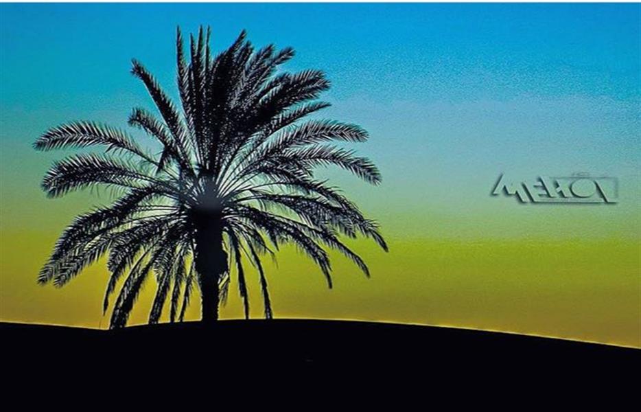 هنر عکاسی عکاسی مینیمال mehol-nadim 