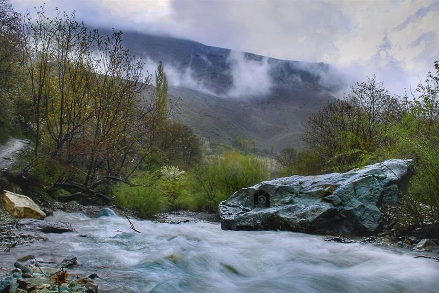 هنر عکاسی بهار مریم حسنی  بهارِطبیعت