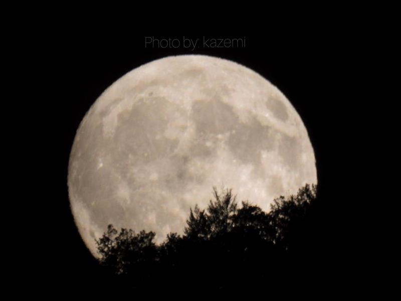 هنر عکاسی عکاسی در شب Asal kazemi عکس از ماه دریکی از روستاهای شمال به نام گیلده واقع در گردنه های حیران 
خیلی تلاش کردم که لحظه ای تصویر و ثبت کنم که ماه تازه از پشت درخت های جنگل داره میاد بالا 
این لحظه واقعا برای خودم لذت بخش بود 😊