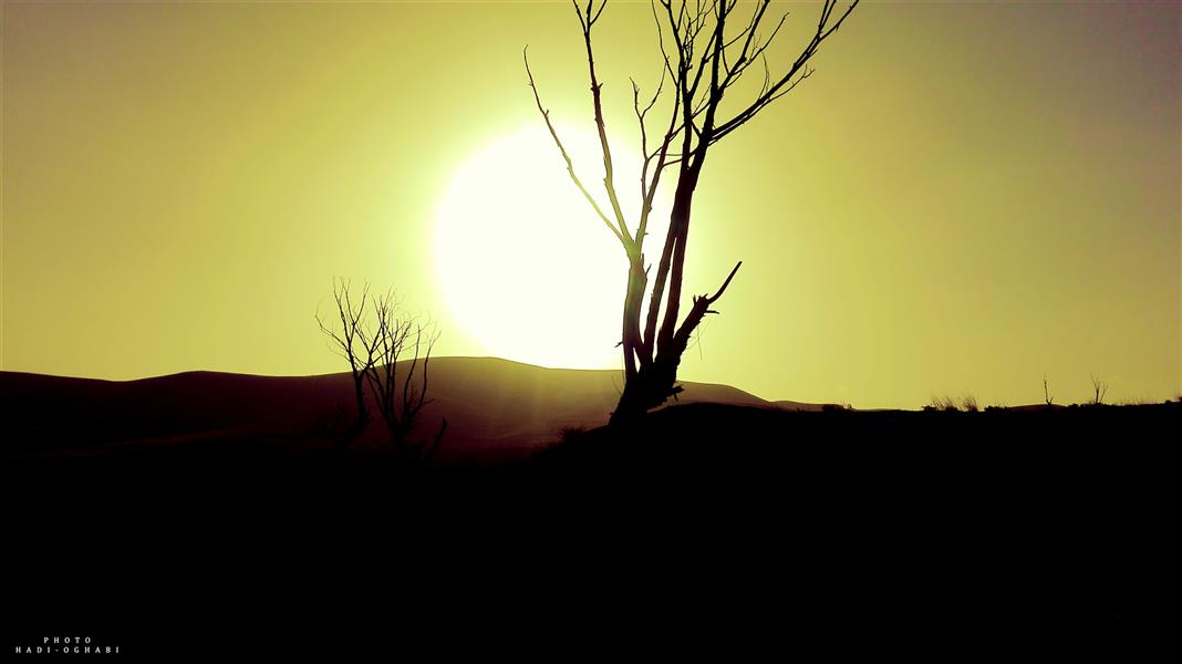 هنر عکاسی عکاسی لنداسکیپ منظره هادی عقابی هنر در طبیعت نهفته است و متعلق به کسی است که آن را از طبیعت استخراج کند.
#منظره#طبیعت#عکاسی#غروب#زیبا#هنری#هنر_ایرانی#درخت#خورشید#هجران#آسمان