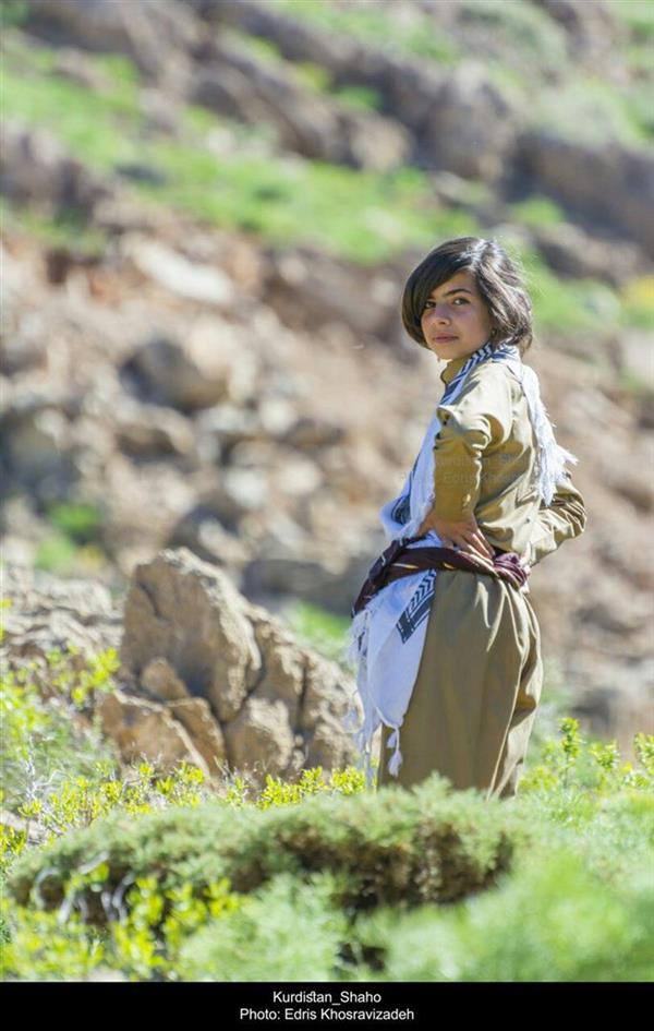 هنر عکاسی عکاسی فرهنگ ایرانی Edris Khosravizadeh لباس زیبای کوردی به تن دختر نوجوان کورد در طبیعت زیبا و بکر کوهستان شاهو