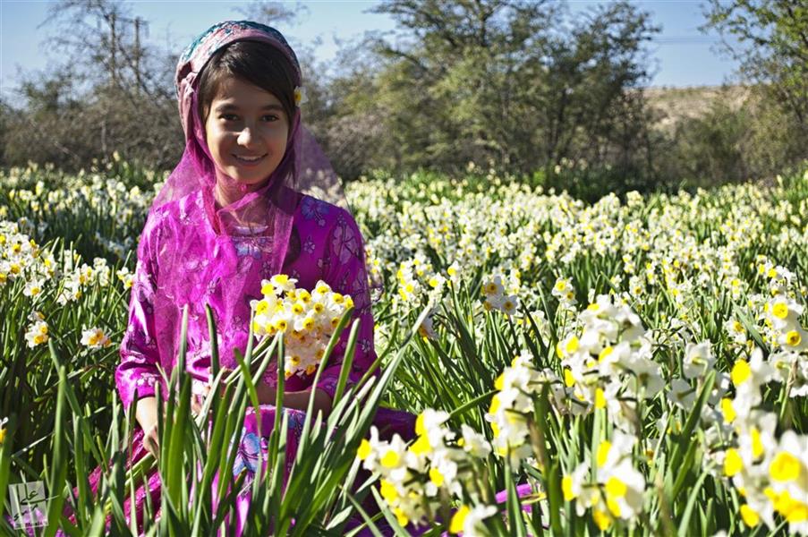 هنر عکاسی عکاسی فرهنگ ایرانی علی مصلح نرگس شیراز