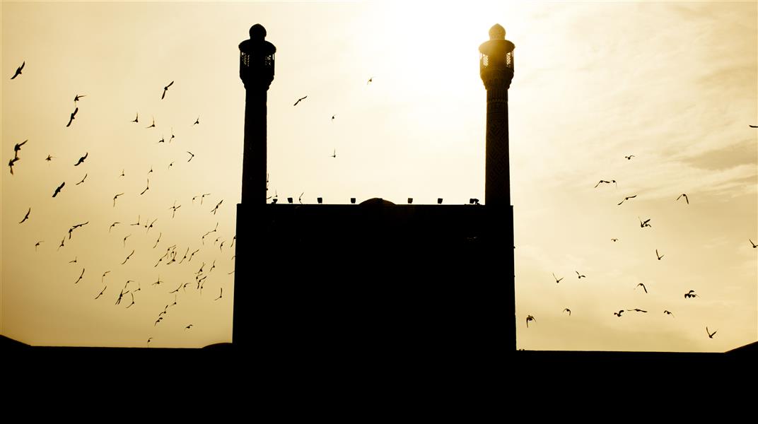 هنر عکاسی عکاسی سیلوئت یا ضد نور خانه ایده #مسجد _جامع_اصفهان