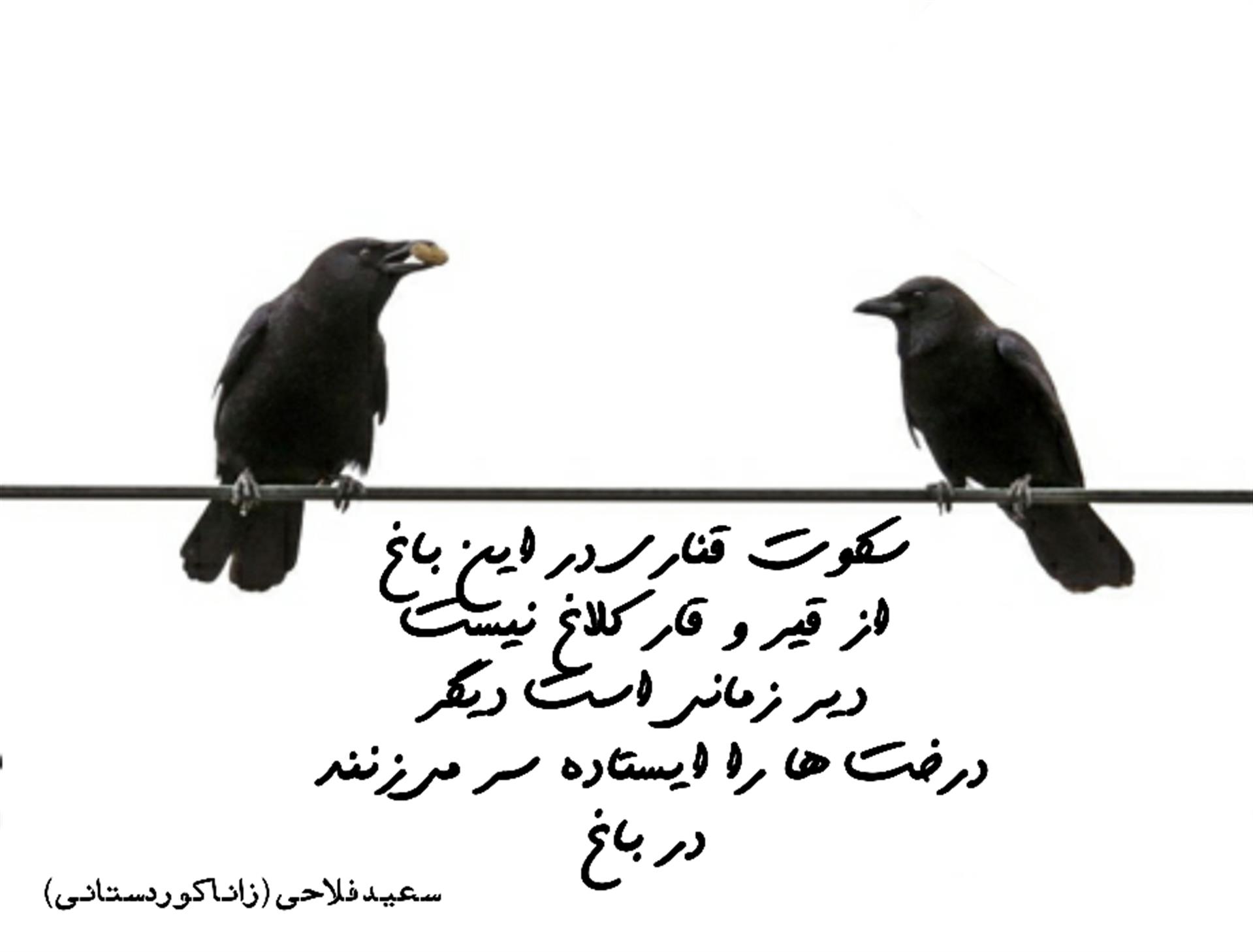 هنر شعر و داستان محفل شعر و داستان سعید فلاحی (زانا کوردستانی) #سعید_فلاحی
#سعید
#فلاحی
#زانا_کوردستانی
#زانا
#کوردستان
#لیلا
#لیلایم
#لیلا_طیبی
#رها
#رهایم
#رها_فلاحی
#کتاب
#شعر
#شعرک
#اشعار
#شاعر
#شعر_کوتاه
#شعر_سپید
#ایران
#عشق
#هایکو
#سایفایکو
#دوست
#ادبیات
#ادبیات_فارسی
#ادبیات_کردی
#کورد
#کردستان
#کرمانشاه
#همدان
#لرستان
#بروجرد
#نهاوند
#انجمن_شعر_و_ادب_میخانه
#پریسکه
#سپکو
#چامه
#چامک
#چکامه
#شاعر
#نویسنده
#نقاش
#معرقکار
#معرفکاری
#هنرمند
#عکس
#عکس-نوشته
#عکاسی
#طبیعت
#متن
#تلگرام
#اینستاگرام
#غزل
#قصیده
#مثنوی
#سه_گانی
#چامه
#شعرناب
#شعرنو
#شعرپاک
#شعرایران
#شعرمعاصر
#شعرکلاسیک
#شعرها
#شاعران
#کامیاران
#دانش_آموز
#معلم
#دانشگاه
#مدرسه
#دانشجو
#اسلام
#zanakordistani
#lilatayebi
#saeidfallahi
#rahafallahi
#sheer
#mikhanehkolop