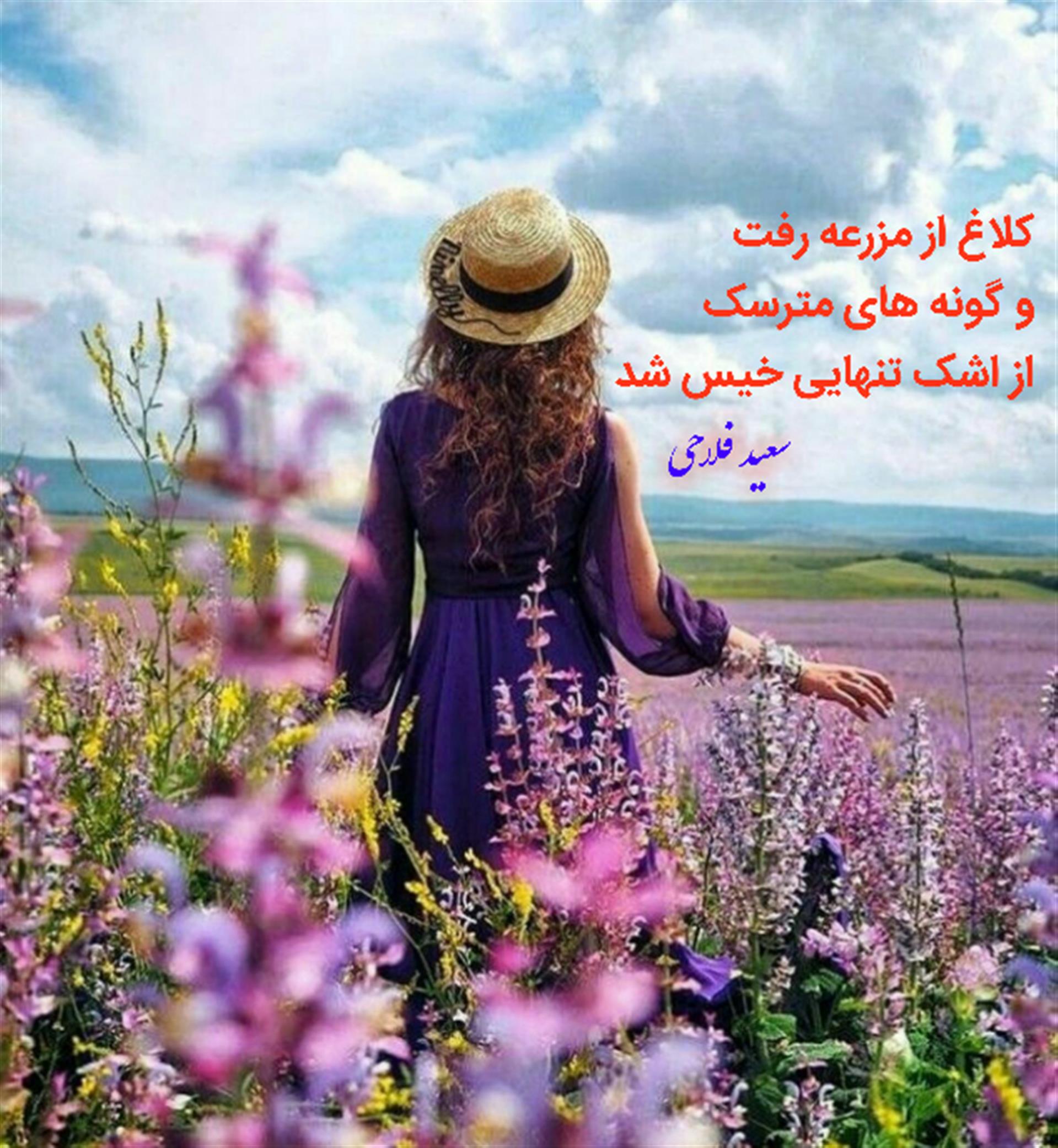 هنر شعر و داستان محفل شعر و داستان سعید فلاحی (زانا کوردستانی) #سعید_فلاحی
#زانا_کوردستانی
#رها_فلاحی
#شعر
#شعر_کوتاه
#شعر_سپید
#آغوش_تو