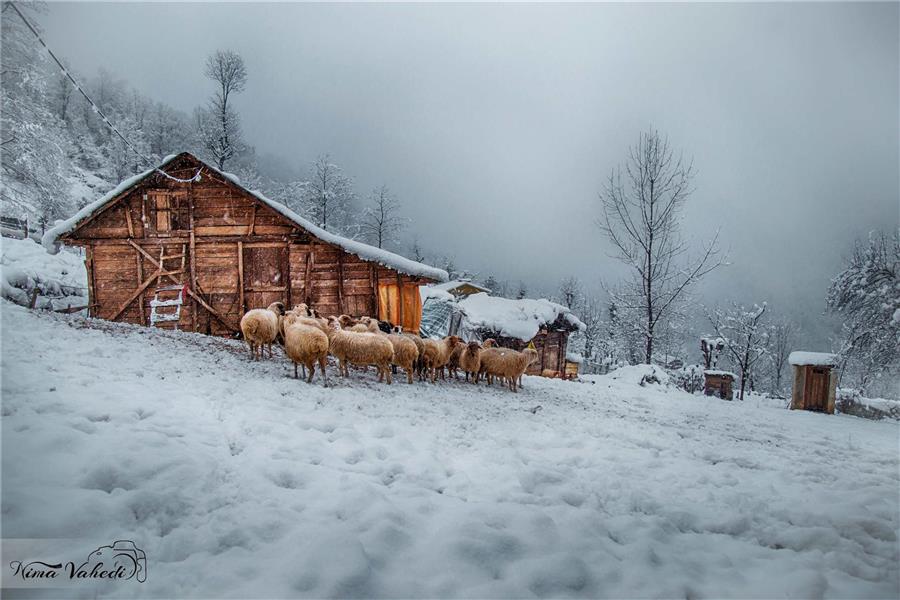 عکاسی زمستان - 100هنر