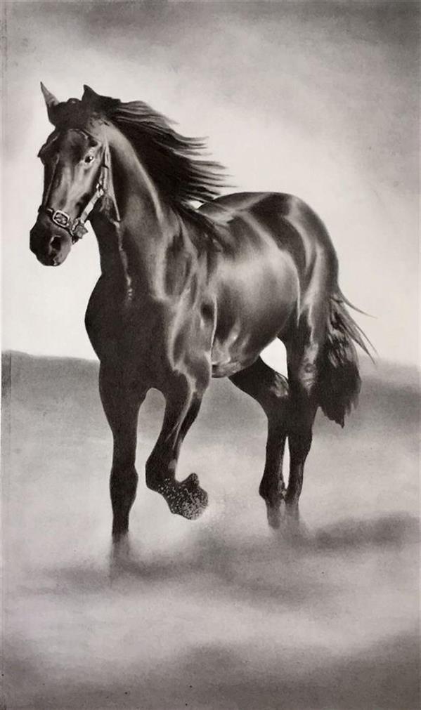 Drawing Artwork by hassan alamouti drawing with pencil on shtenbach paper ,Pencil,Paper,#595A5B,#FFF,Horse
